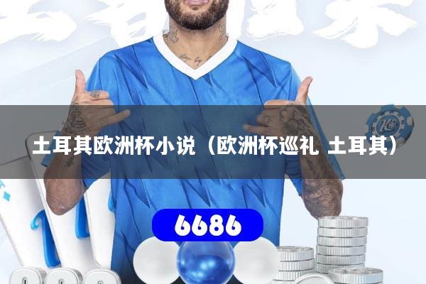 土耳其欧洲杯小说（欧洲杯巡礼 土耳其）